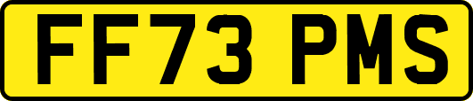 FF73PMS