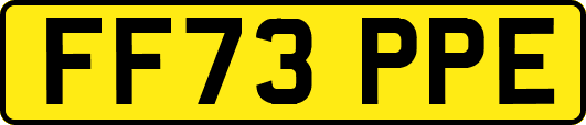 FF73PPE