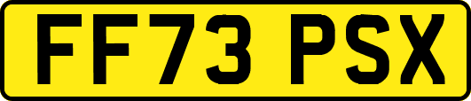 FF73PSX