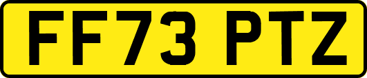 FF73PTZ