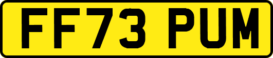 FF73PUM