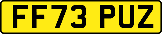 FF73PUZ