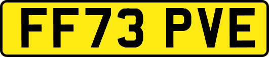 FF73PVE