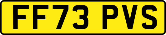 FF73PVS