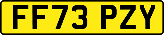FF73PZY