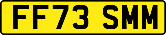 FF73SMM