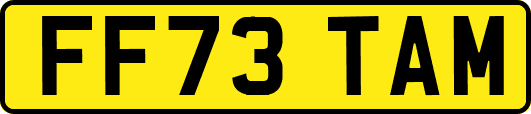 FF73TAM
