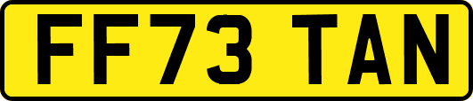 FF73TAN