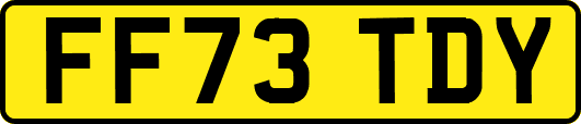 FF73TDY