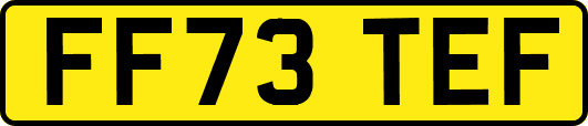FF73TEF