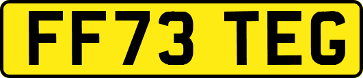 FF73TEG