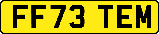 FF73TEM