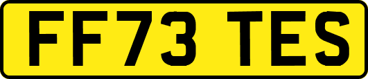 FF73TES