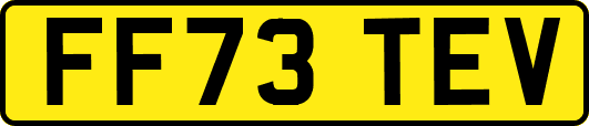 FF73TEV