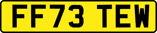 FF73TEW