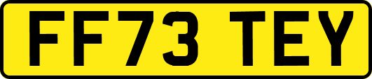 FF73TEY