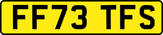 FF73TFS