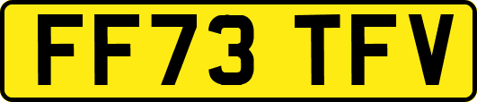 FF73TFV