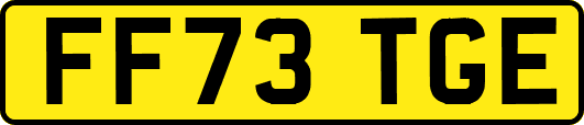 FF73TGE