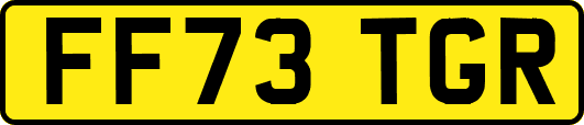 FF73TGR