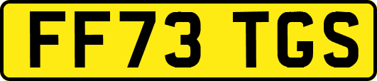 FF73TGS