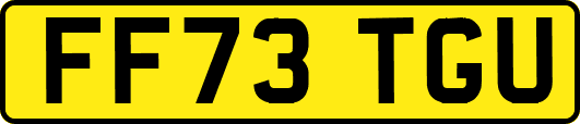 FF73TGU