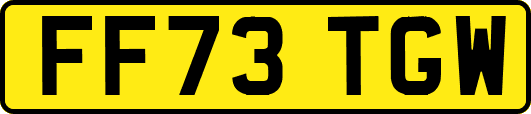 FF73TGW