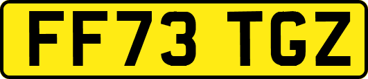 FF73TGZ