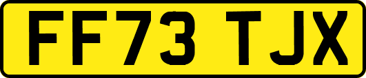 FF73TJX