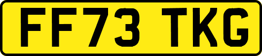 FF73TKG