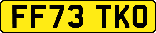 FF73TKO