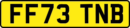 FF73TNB