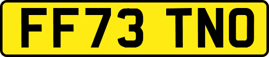 FF73TNO