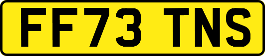 FF73TNS
