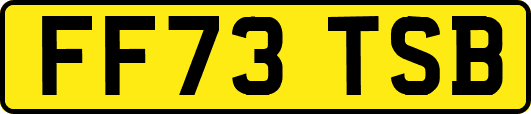 FF73TSB