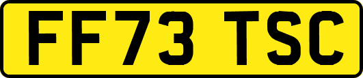 FF73TSC