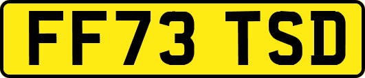 FF73TSD