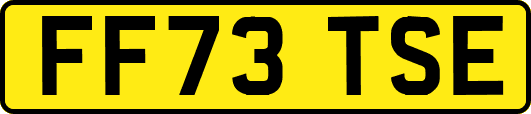 FF73TSE