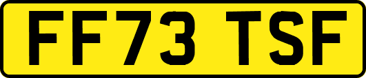 FF73TSF