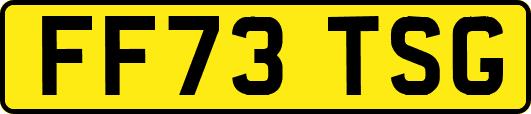 FF73TSG
