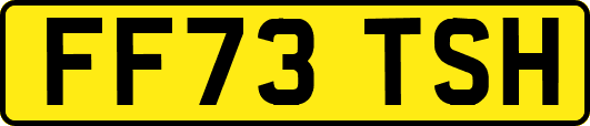 FF73TSH