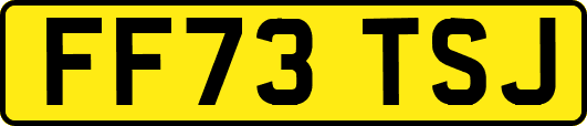 FF73TSJ