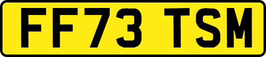 FF73TSM