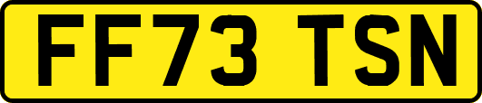 FF73TSN