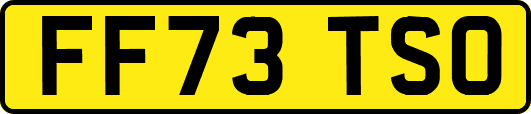 FF73TSO