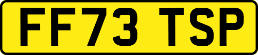 FF73TSP