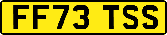 FF73TSS