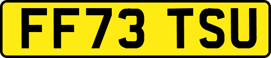 FF73TSU