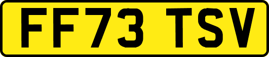 FF73TSV