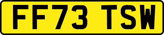 FF73TSW